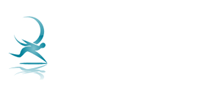 Precise Technology Trading LLC - Redefining Possibilities